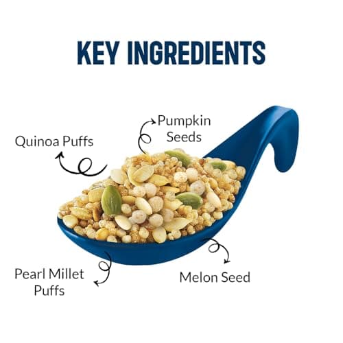 Roasty Tasty Quinoa & Seeds Peri Peri|Healthy Snacks|Roasted White Quinoa Puffs, Bajra & Seeds Mix|Rich In Protein For Adults & Kids|No Transfat|Diet Mixture|Peri Peri Masala|Roasted Namkeen|300G — image 5
