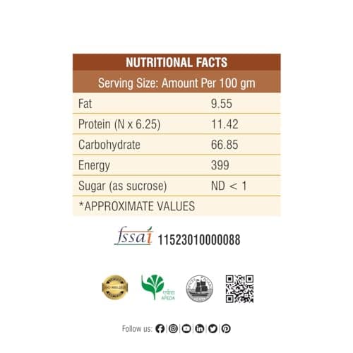 Bhoj Masale Royal Garam Masala Powder- 100GM | Exotic Blend of Ingredients for Daily cooking | Aromatic | Rich in Flavor | Naturally Processed & No Preservatives. No onion and no garlic added (Jain Masala) — image 2