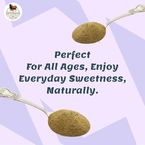 Satvik Sanatani Swaminarayan Jain Vegan Chatpata Fruit Masala 350g | Cumin, Coriander, Pudina, Pink & Black Salt | No Onion No Garlic | No Preservatives | Glass Jar with Steel Cap — image 5