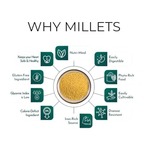 DryM Foods Instant Foxtail Millet Upma Combo of 2 - Mild & Easy to Make, No Preservatives, Low Sodium, MSG-Free, Freeze Dried, High Nutrition, Ready in Minutes, Vegetarian Breakfast - 100g x 2. — image 3