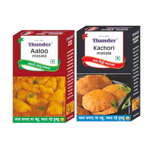 Thunder Aaloo Masala & Kachori Masala Combo,100g (Pack of 2)