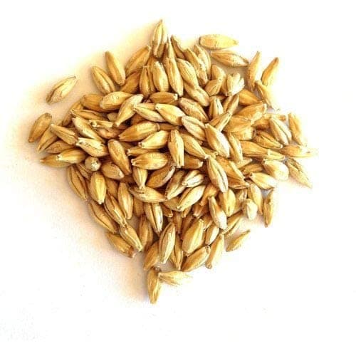 Shirish Masala Natural Raw Barley - 400 Gram | Barley Grain/Jau Sabut Natural and Rich Fiber Jau Seeds — image 4