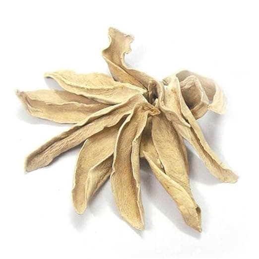 Backtobasics SABUT AMCHUR | Whole Dried RAW Mango Slice (50gm) — image 3