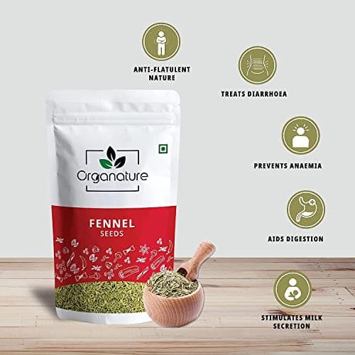 Organature Fresh & Natural Fennel Seeds 350Gram|Saunf|Variyali|Whole Indian Spices With Authentic Taste & Strong Aroma — image 4