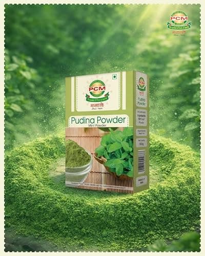 PCM Pudina Powder (Mint Powder) 500g | Natural Dry Mint Powder for Chutney, Raita, Jaljeera, Drinks, Seasonings & Cooking | Aromatic Flavor — image 6