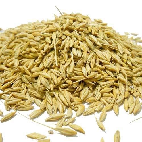 Shirish Masala Natural Raw Barley - 400 Gram | Barley Grain/Jau Sabut Natural and Rich Fiber Jau Seeds