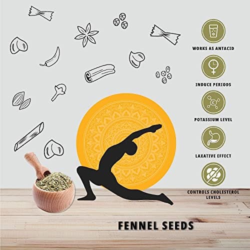 Organature Fresh & Natural Fennel Seeds 350Gram|Saunf|Variyali|Whole Indian Spices With Authentic Taste & Strong Aroma — image 5