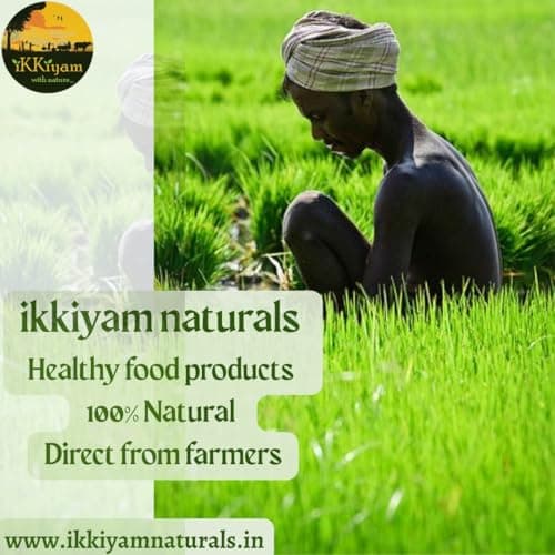 Ikkiyam Kuchi (Neetu) Rice Vathal 350g | Arisi Koozh Vathal | Gluten-Free South Indian Healthy Snack | No Onion Garlic | Traditional Crispy Vadagam for Cooking & Snacking — image 2