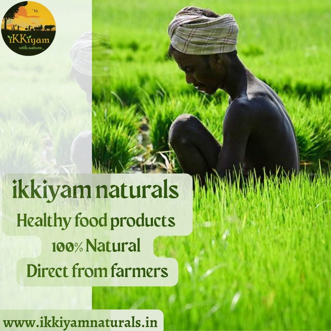 Ikkiyam Kuchi (Neetu) Rice Vathal 350g | Arisi Koozh Vathal | Gluten-Free South Indian Healthy Snack | No Onion Garlic | Traditional Crispy Vadagam for Cooking & Snacking — image 2