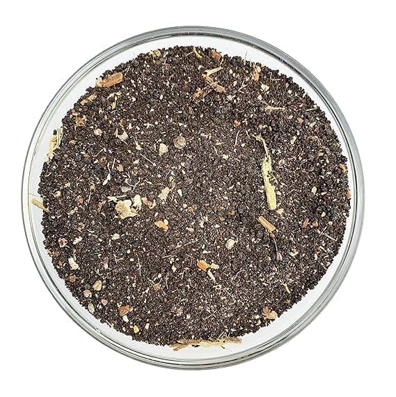 Backtobasic Jain's Departmental Chai Tea (250g)