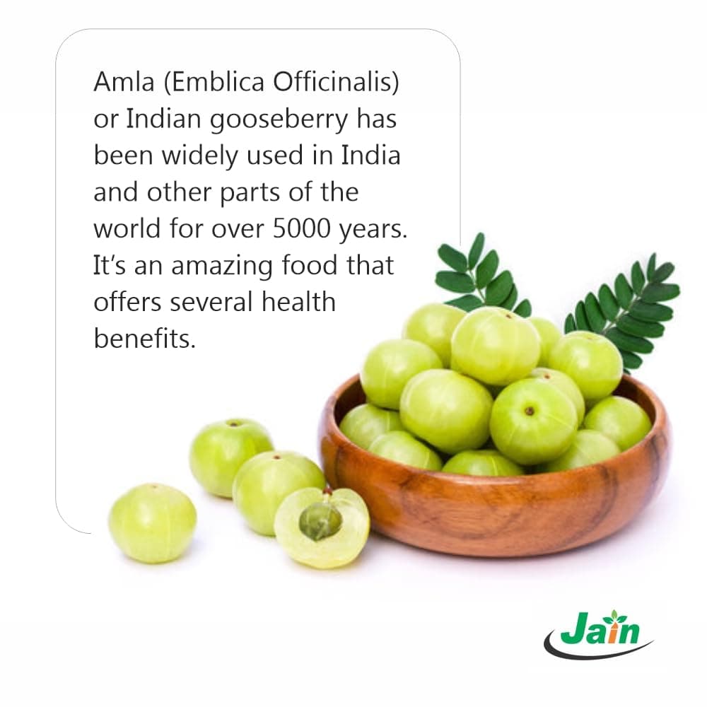 JAIN Pure Amla Powder 1Kg|Edible Indian Gooseberry Powder for Smoothies, Teas & Cooking | Natural Source of Vitamin C Vegan, No Chemicals Traditional Ayurvedic Superfood for Daily Wellness. — image 2