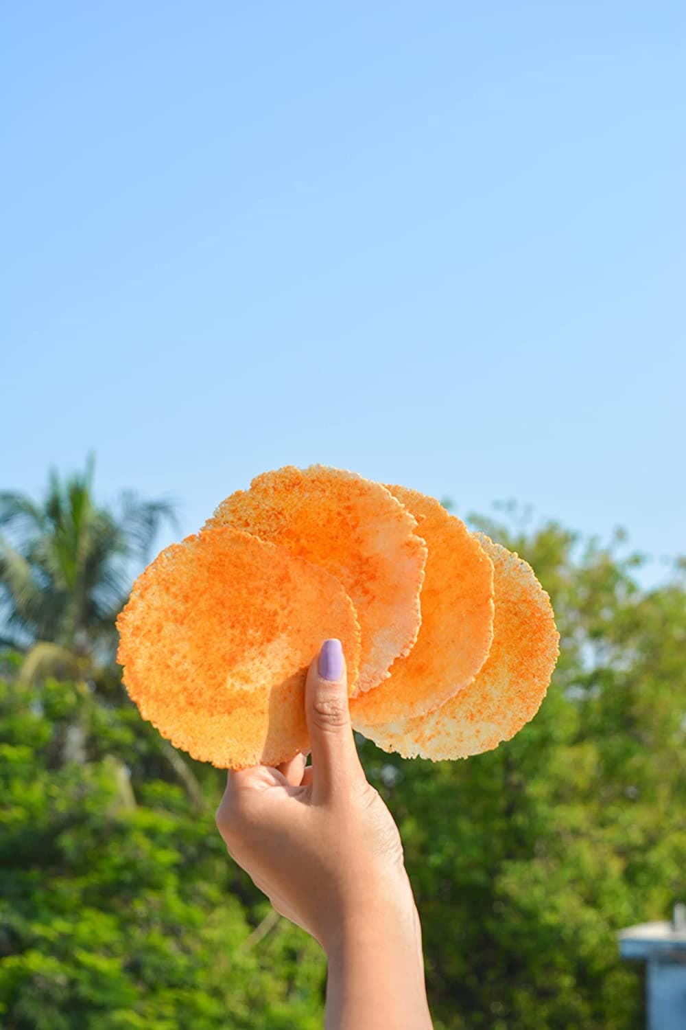 Snackible Crispy Cheese & Tomato Dosa Khakhra (Pack of 4) 4x100gm | Indian Healthy Snack | Made with Ragi | Ready to Eat | Source of Protein | No Palm Oil | Rich in Dietary Fibre | Zero Trans Fat | — image 5
