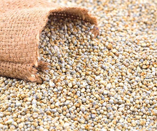 MRV Multi Millet Dosa — image 5