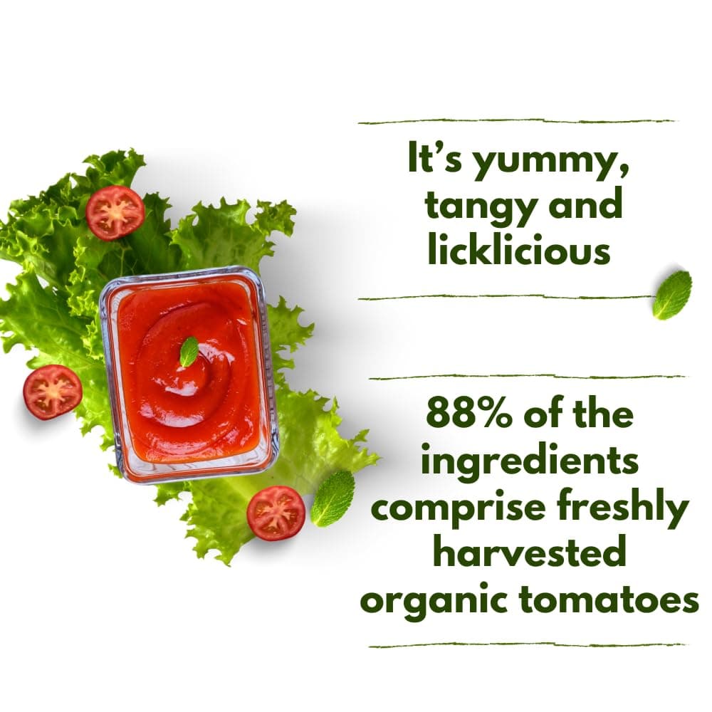My Organic Earth - Jain Tomato Ketchup (Pack of 2) | No Onion No Garlic Tomato Ketchup | Low on Sugar | Certified Organic Tomatoes | (300gm x 2) — image 2