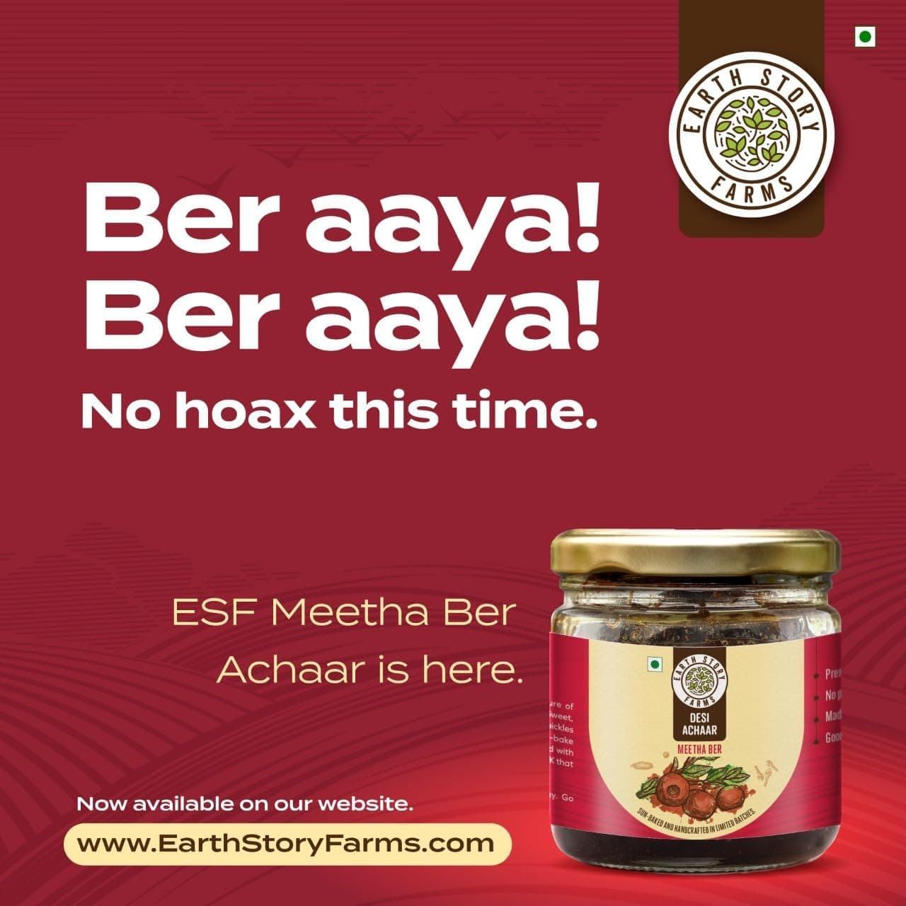 Earth Story Farms Meetha Ber Pickle | No Preservatives | Sweet Jujube Pickle| Premium Ingredients | Testy Kul Pickle | Meetha Ber Ka Achar (200gm) — image 3