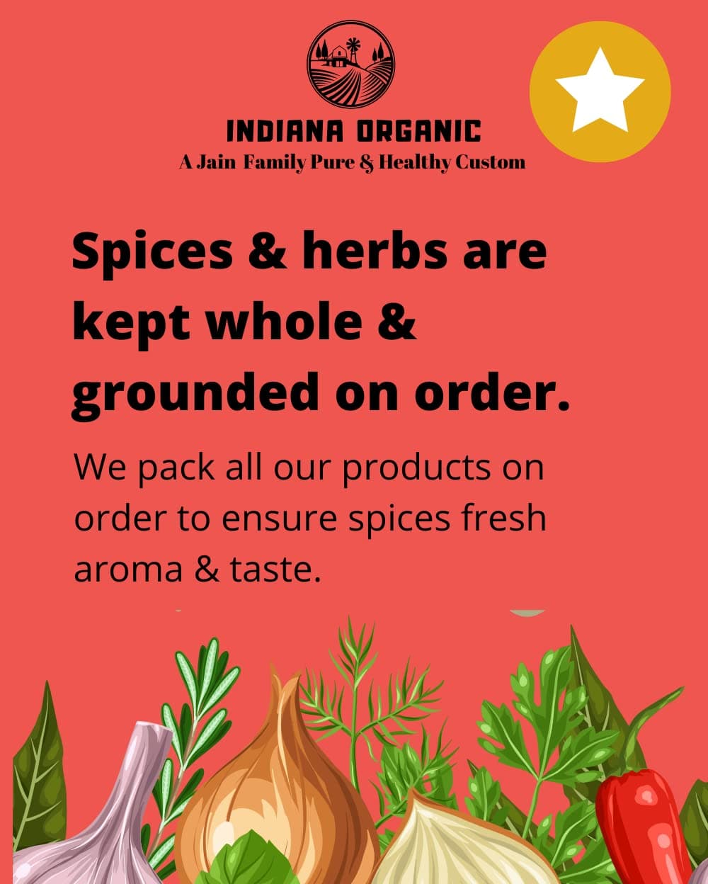 Indiana organic bbq | peri peri | pizza seasoning - combo of 3 Jain seasoning. No onion and garlic. — image 3