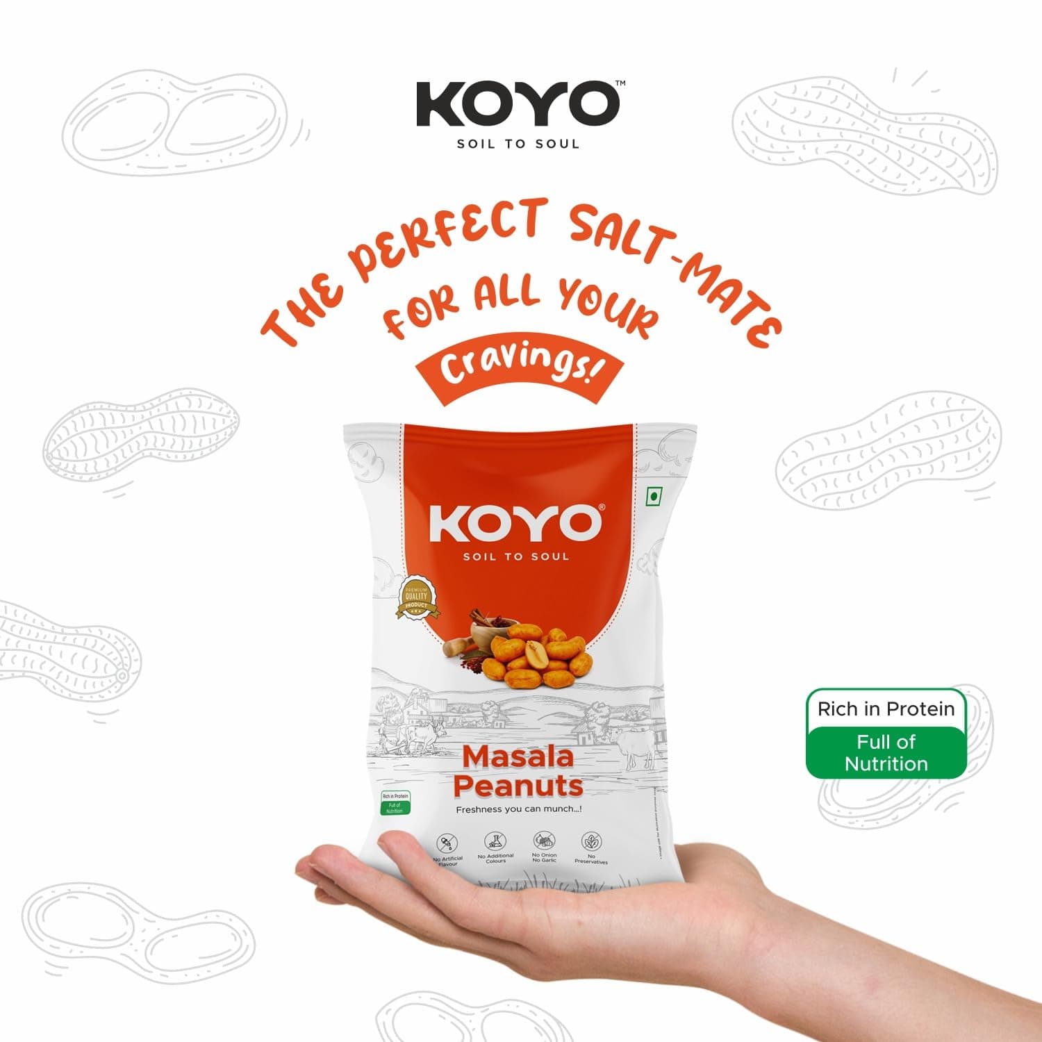 KOYO Masala Chana 360g, Snack and Namkeen | Roasted Chana Masala Chickpeas Masala Chana | High Protein Healthy Snack | Natural and Crunchy — image 4