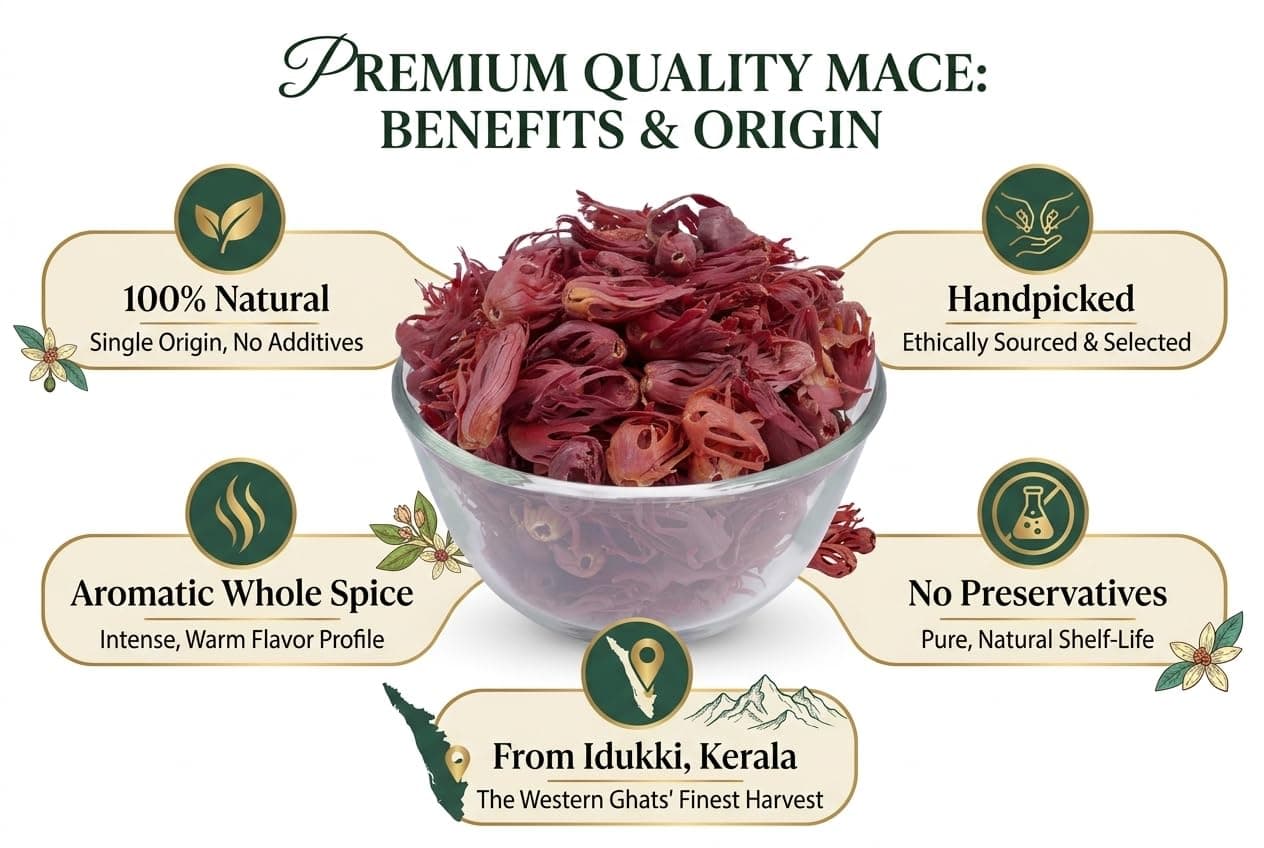 RMS Mace Whole - 100 Grams | Javitri, Jathipathri, Jaipatri Spice | Origin: Idukki, Kerala — image 6