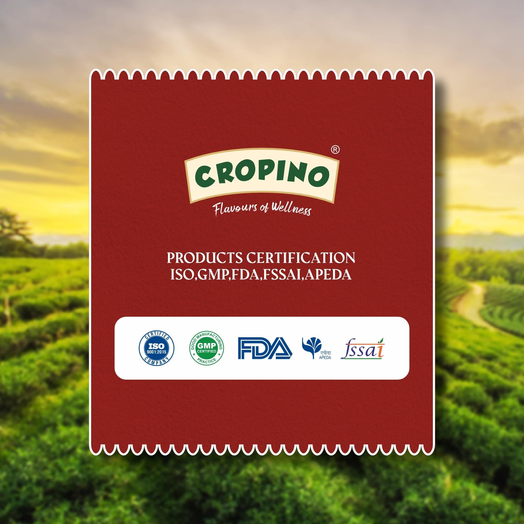 Cropino Tomato Sauce | Ketchup No Onion No Garlic 900 G — image 5