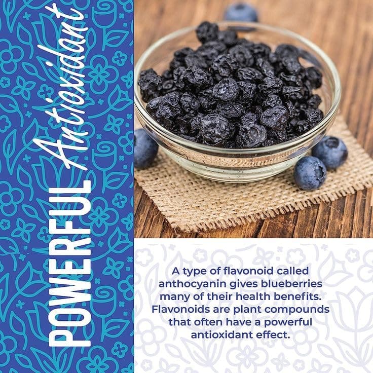 Bombay Snacking Company Dried Blueberries | Sweet Flavour | Dry Fruit Snack | 100g — image 3