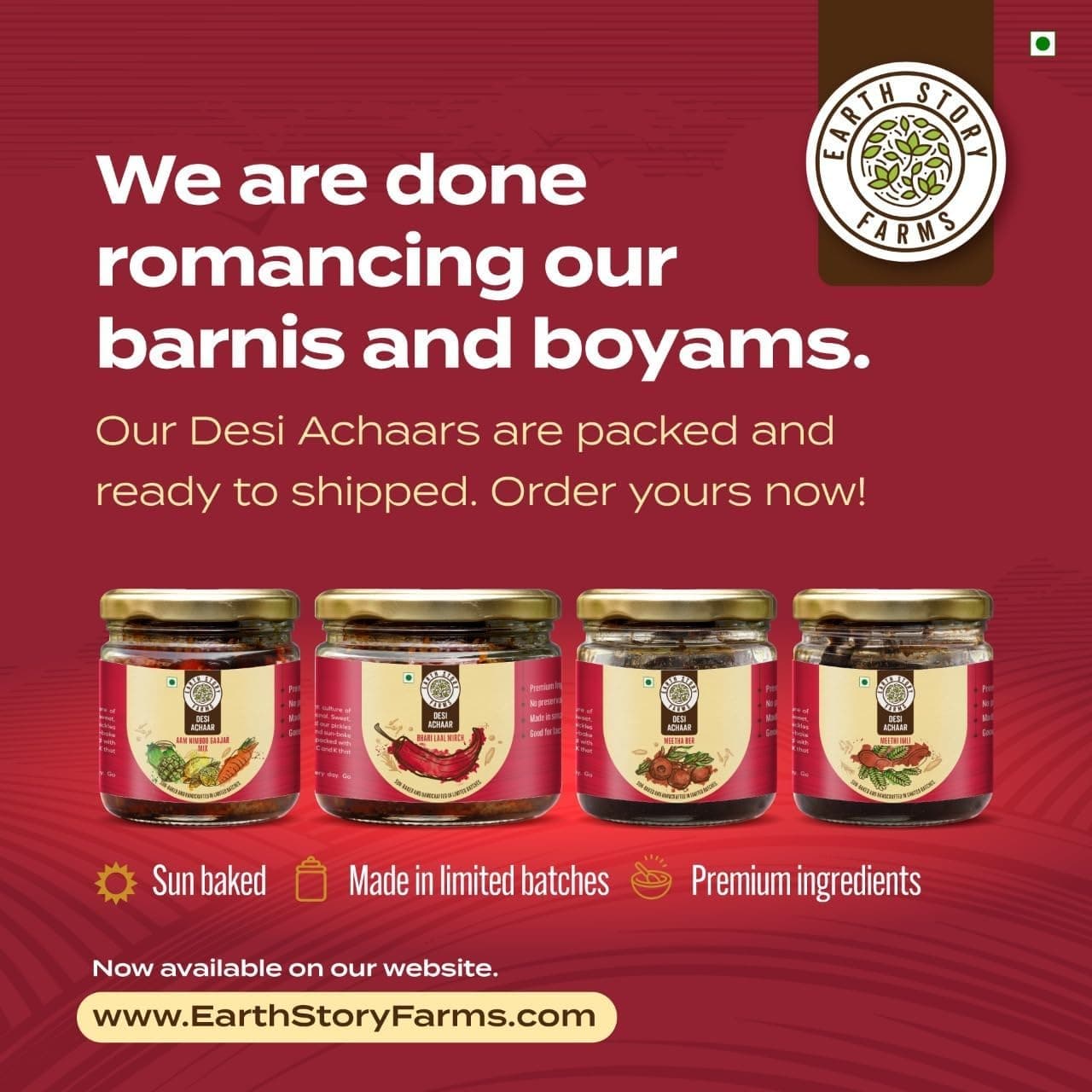 Earth Story Farms Meetha Ber Pickle | No Preservatives | Sweet Jujube Pickle| Premium Ingredients | Testy Kul Pickle | Meetha Ber Ka Achar (200gm) — image 5