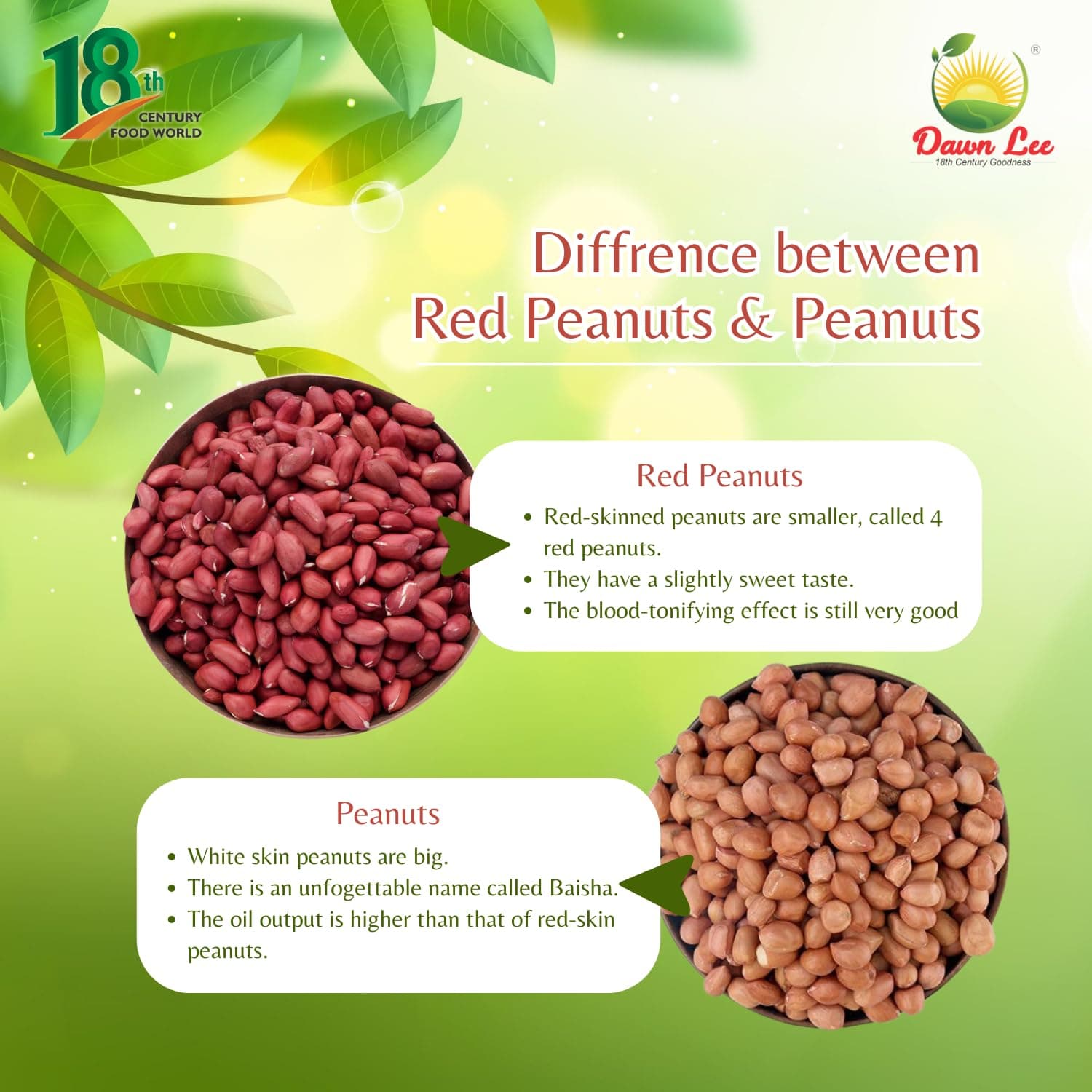 Dawn Lee Raw Desi Red Peanuts | Mildly Roasted | High Protein & Fiber | Groundnut | Moongfali | Sing Dana | Premium Fasting Snack for Navratri, Ekadashi and Jain fasting | Non-GMO | Resealable Kraft Bag – 400g — image 5