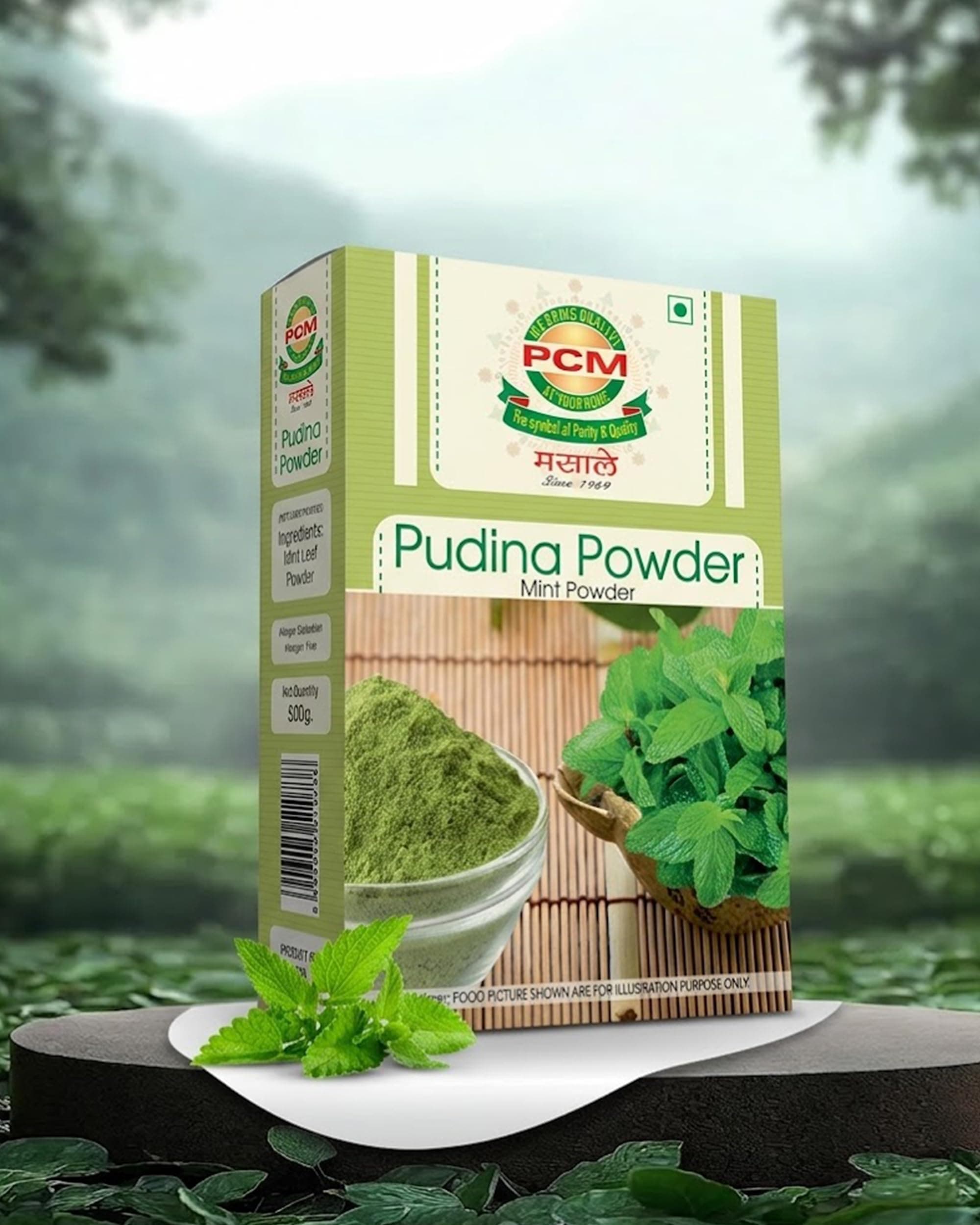 PCM Pudina Powder (Mint Powder) 100g | Natural Dry Mint Powder for Chutney, Raita, Jaljeera, Drinks, Seasonings & Cooking | Aromatic Flavor — image 5