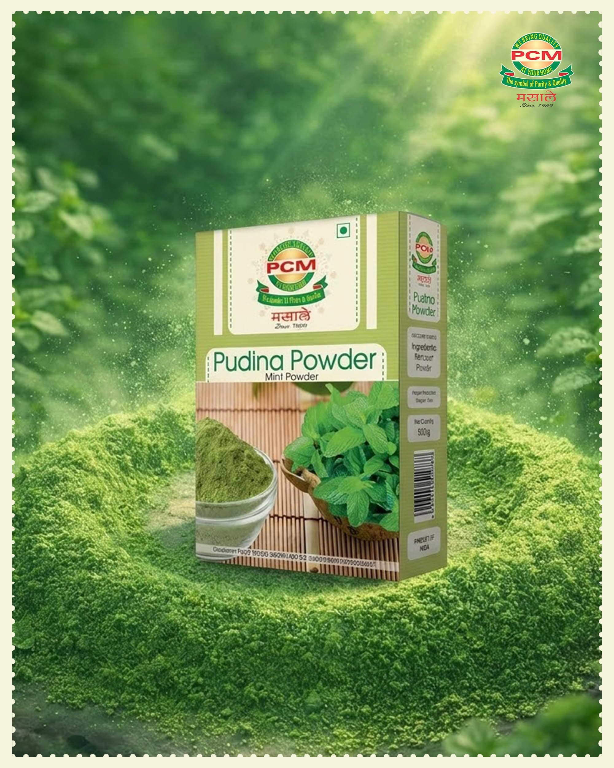 PCM Pudina Powder (Mint Powder) 100g | Natural Dry Mint Powder for Chutney, Raita, Jaljeera, Drinks, Seasonings & Cooking | Aromatic Flavor — image 7