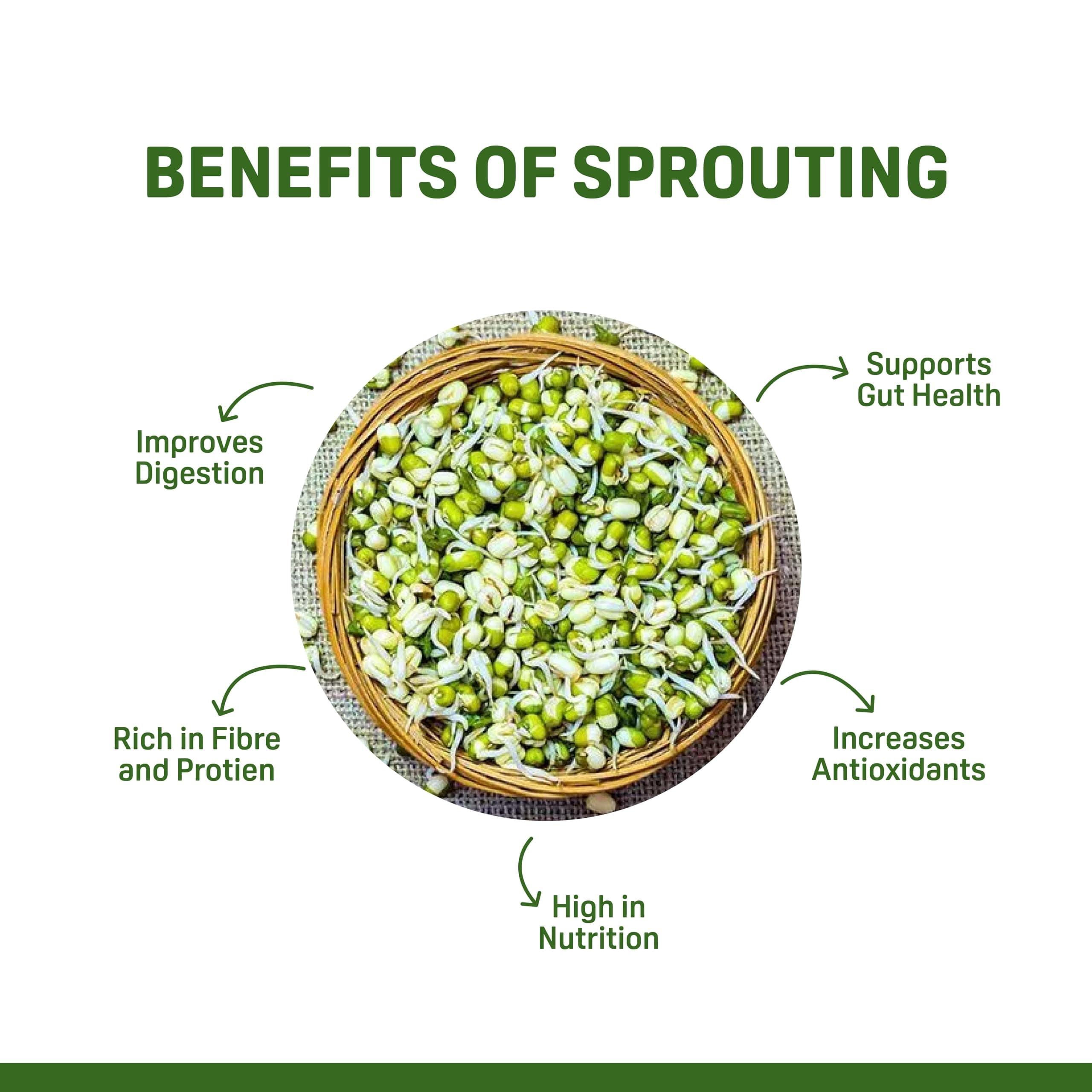 Natible Sprouted Protein & Millet Chilla Dosa Mix (Spinach Masala) Instant Breakfast Meal I Gluten Free I High Protein I No Onion No Garlic I Suitable for Kids & Adults I Travel Friendly 200g — image 7