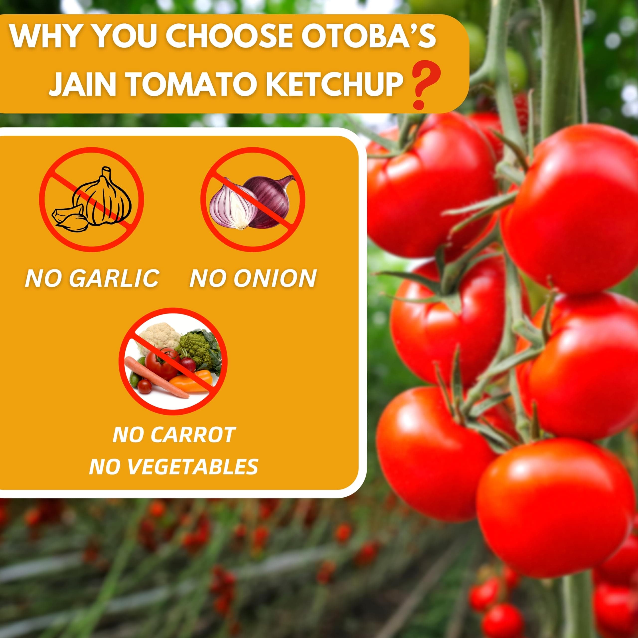 Otoba's Jain Tomato Ketchup (1kg)| Pure Tomato Sauce No Onion No Garlic No Other Vegetables in Bottle — image 4