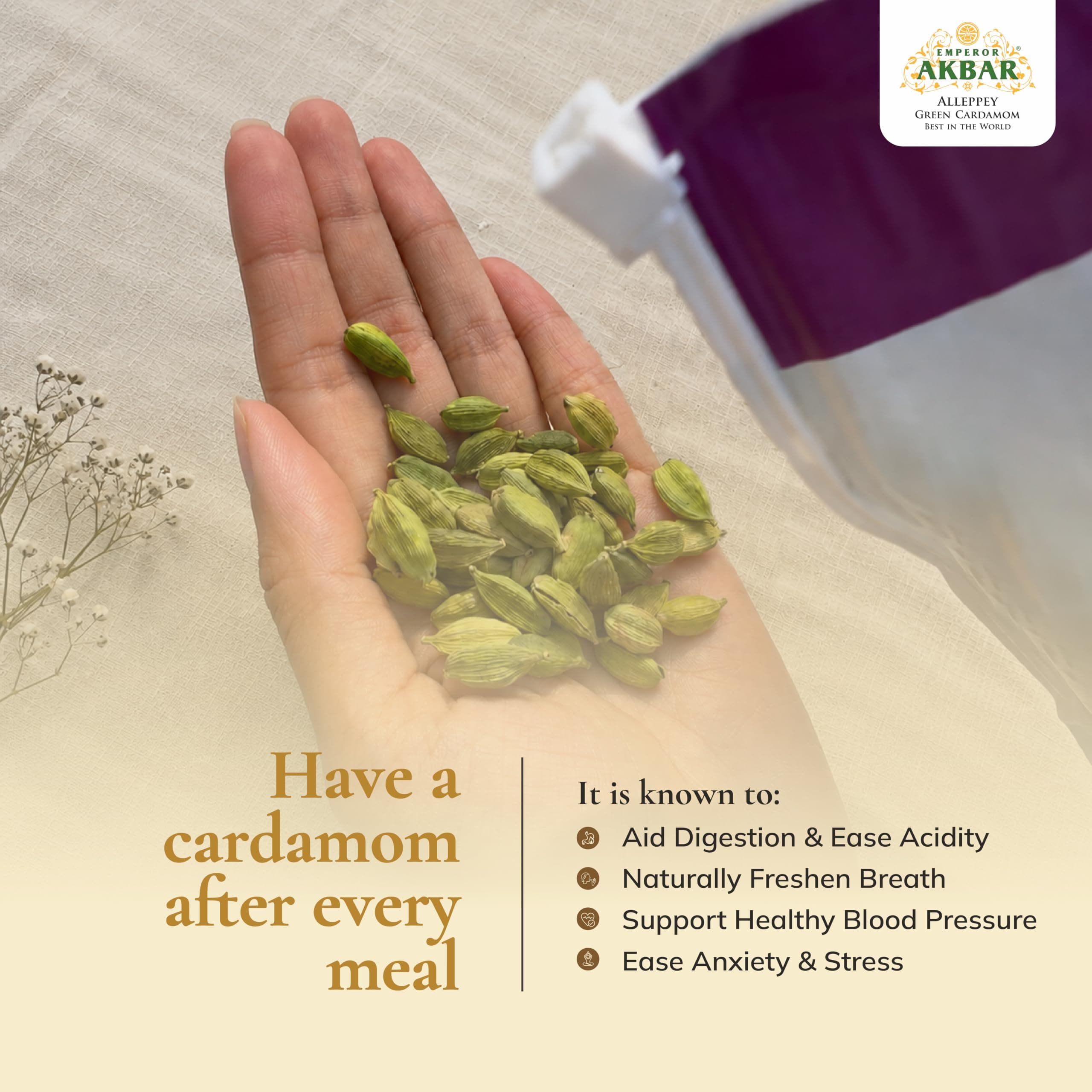 Emperor Akbar Alleppey Whole Green Cardamom 8mm | 1Kg | Long-Lasting Aroma | GI Tagged | Antioxidant-Rich Spice for Tea & Cooking | Premium Export Quality Elaichi | Kerala Cardamom | Pack of 1 — image 7