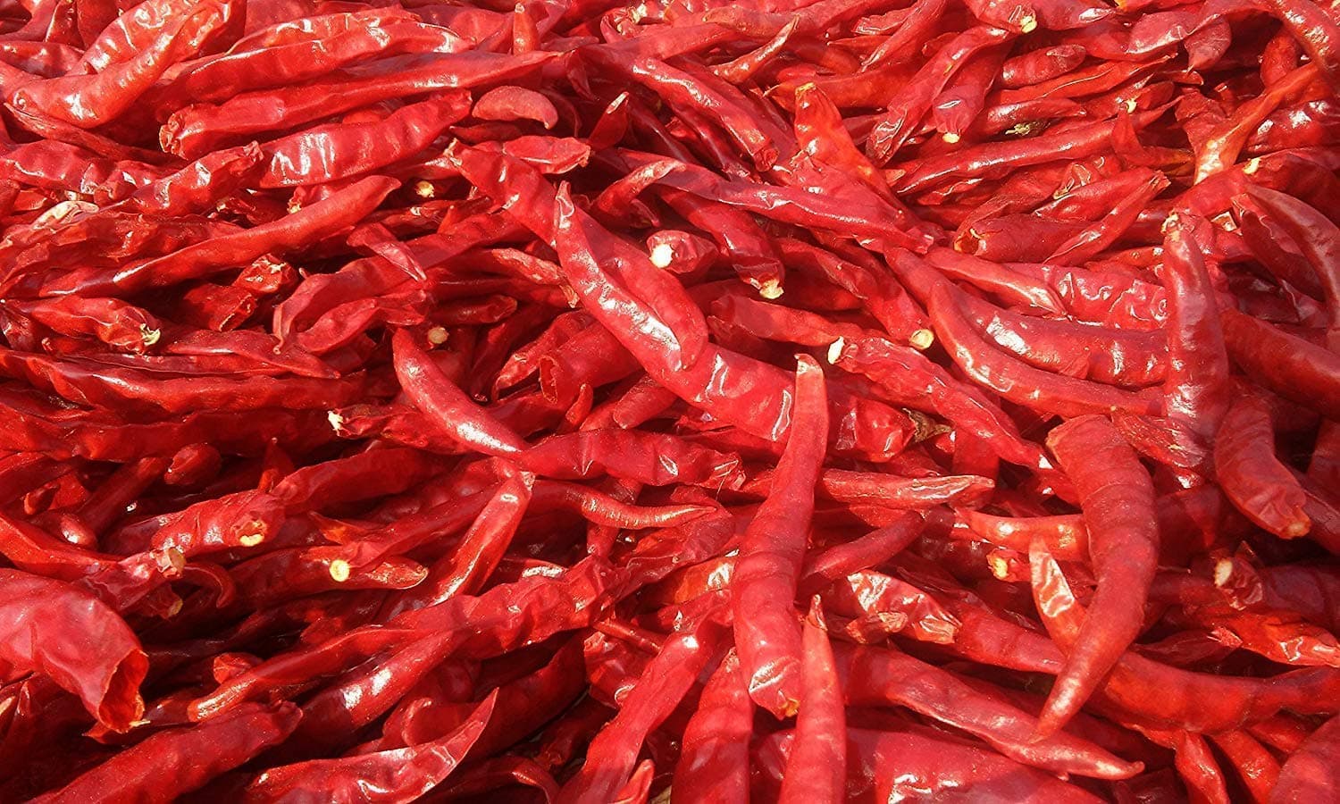 Shirish Masala Dry Red Chilli (Stemless ) (sortex Clean )-100 Grams /Red Chilli Whole / Sabut Laal Mirch — image 2