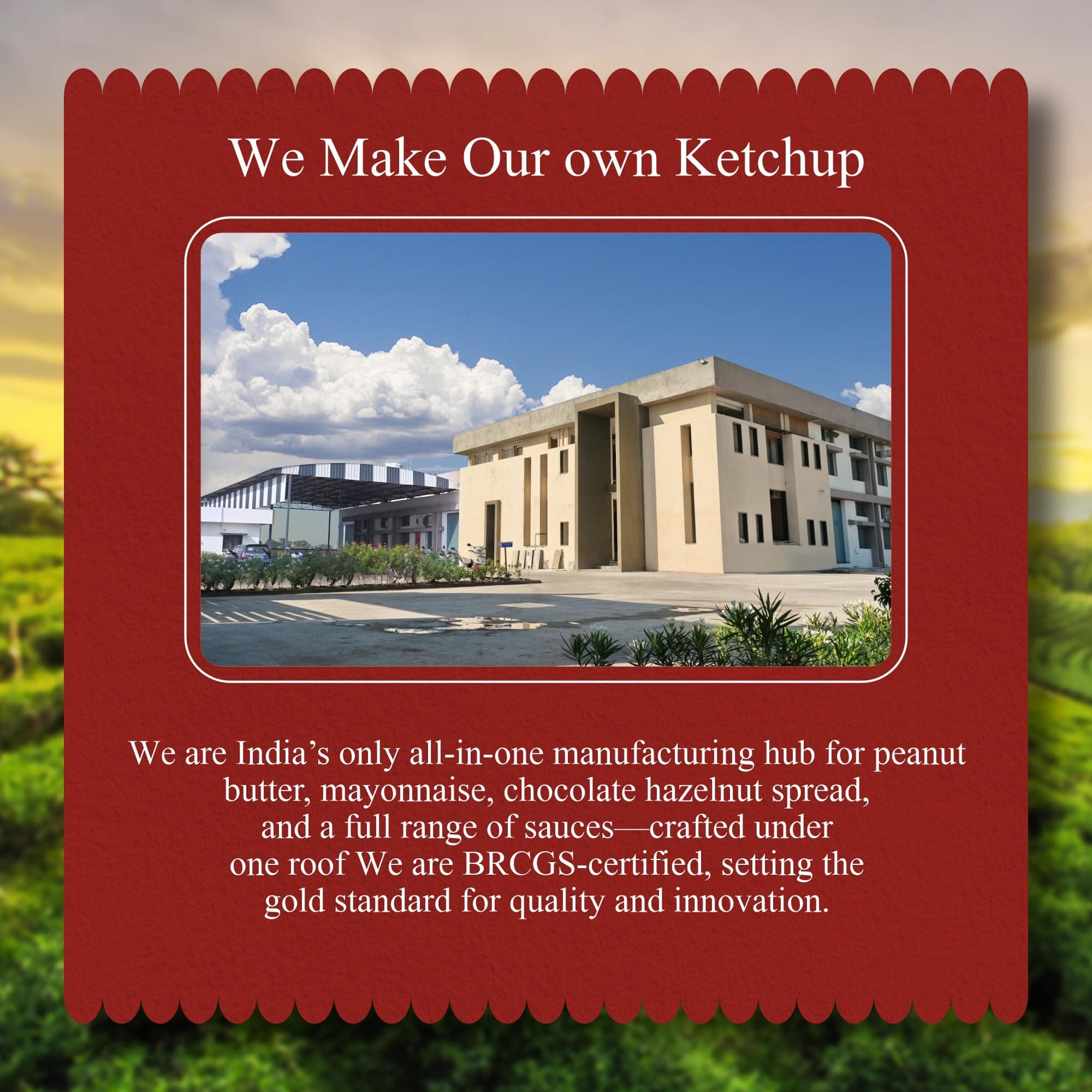 Cropino Tomato Sauce | Ketchup No Onion No Garlic 900 G — image 4