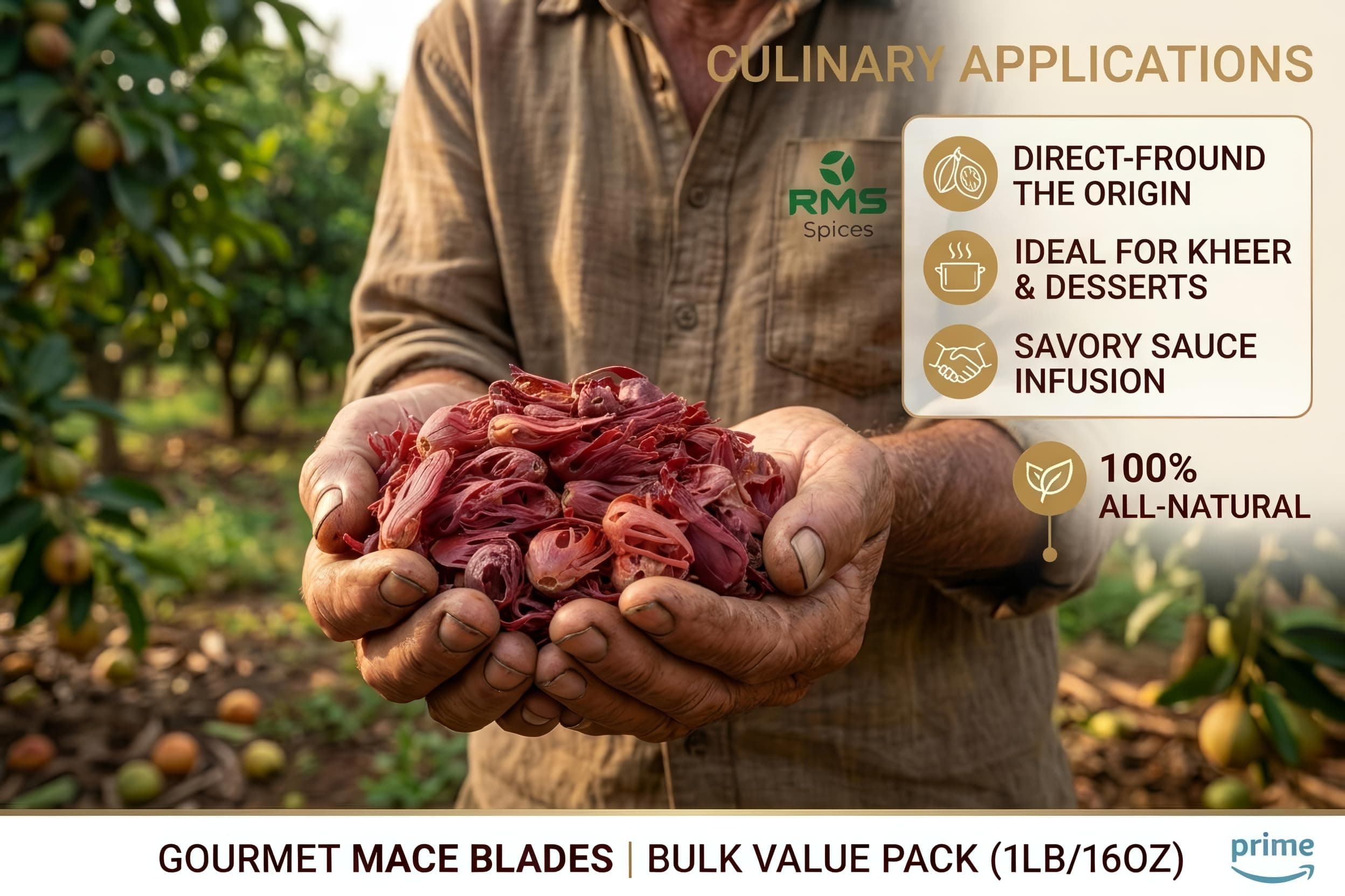 RMS Mace Whole - 250 Grams | Javitri, Jathipathri, Jaipatri Spice | Origin: Idukki, Kerala — image 2