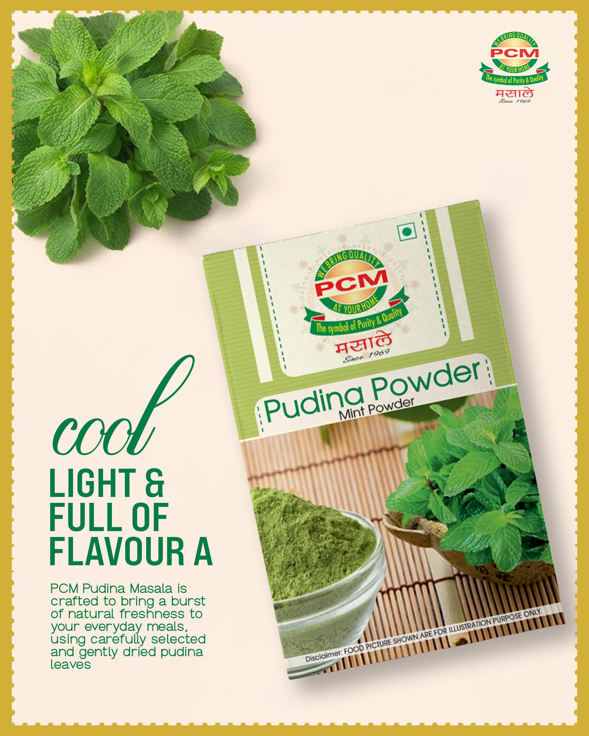 PCM Pudina Powder (Mint Powder) 100g | Natural Dry Mint Powder for Chutney, Raita, Jaljeera, Drinks, Seasonings & Cooking | Aromatic Flavor — image 4