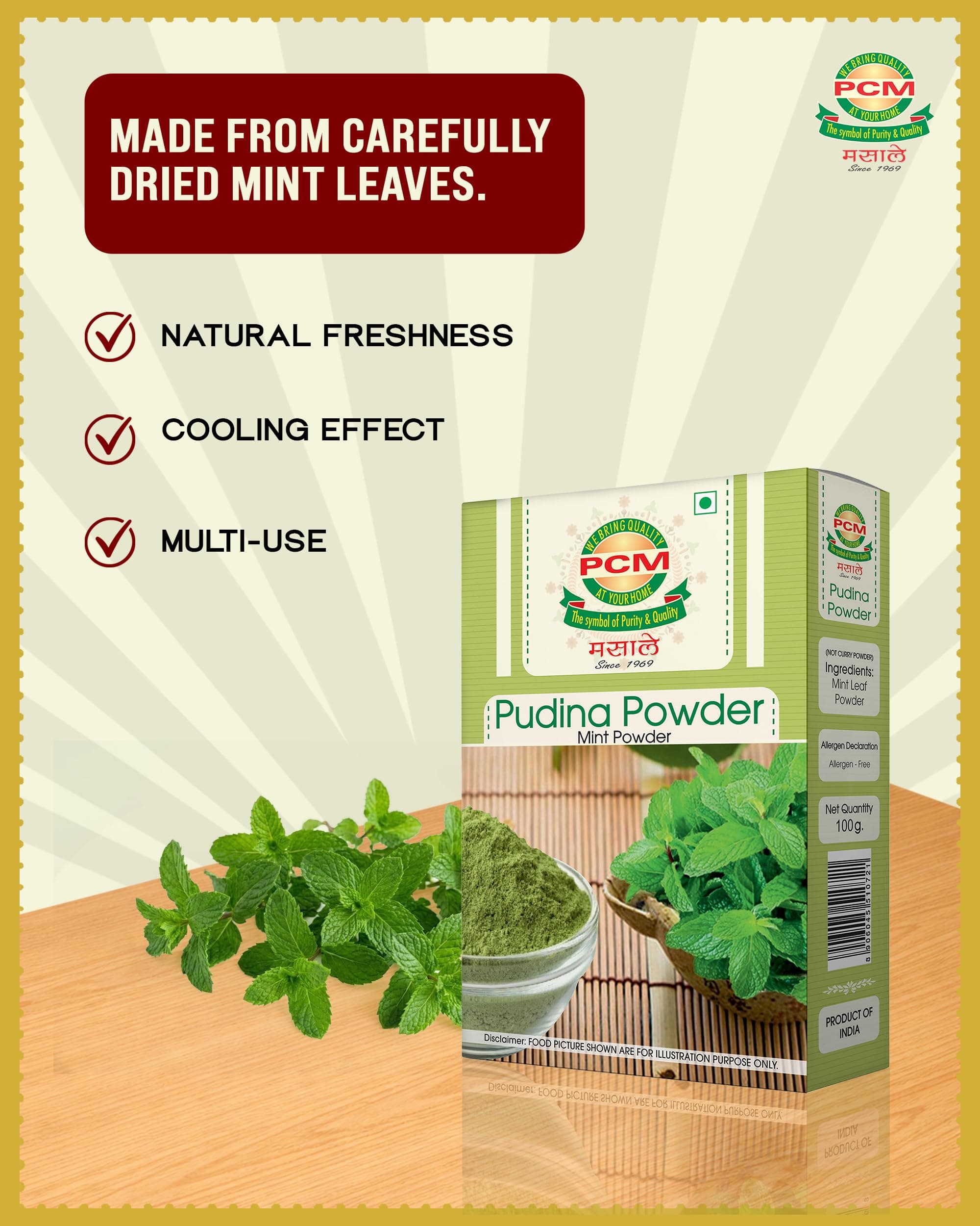 PCM Pudina Powder (Mint Powder) 100g | Natural Dry Mint Powder for Chutney, Raita, Jaljeera, Drinks, Seasonings & Cooking | Aromatic Flavor — image 3