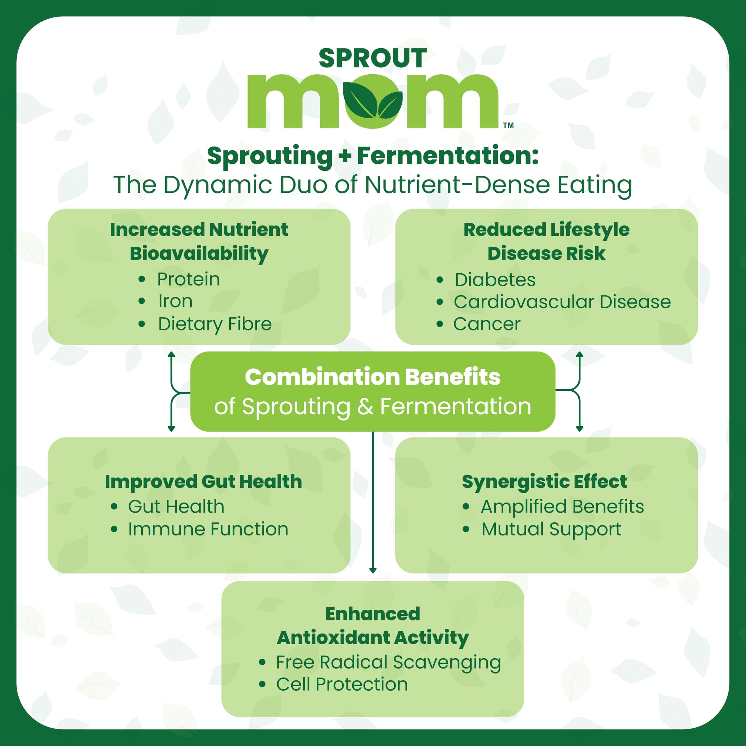 Upma Mix | Sprouted Samba Wheat Rava Instant Upma Mix | High Fibre Breakfast | Zero Added Sugar | 450g | Sprout Mom — image 5