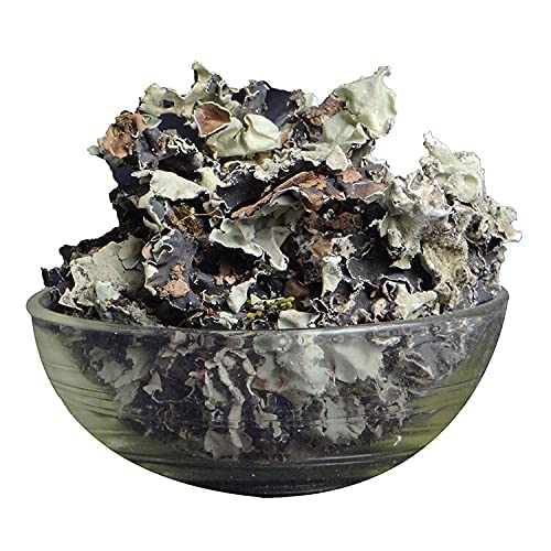 Shirish Masala Stone Flower Spice 50 Gram | Pathar Phool | Dagad Phool | Chhabila | Kalpasi Spice | Permalia Perlata | Rock Flower Stone | Patthar Ke Phool | (50 Gram Pack of 1)