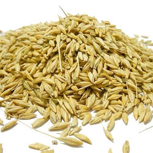 Shirish Masala Natural Raw Barley - 400 Gram | Barley Grain/Jau Sabut Natural and Rich Fiber Jau Seeds