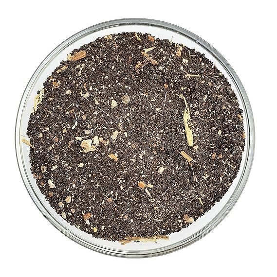 Backtobasic Jain's Departmental Chai Tea (250g)