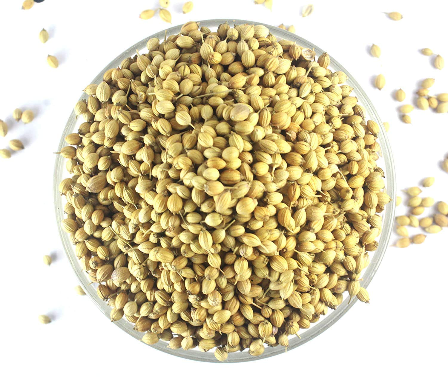 Shirish Masala Organic Coriander Seeds Whole-400 GRAMS | Dhaniya Seeds | Sabut Dhania | Whole Dhania Seeds | Dhania Whole
